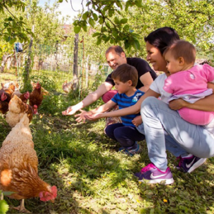 Experiencia Rural en un...