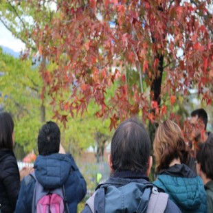 Visita guiada en el Jardín...