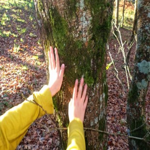Juegos de Bosque en el...