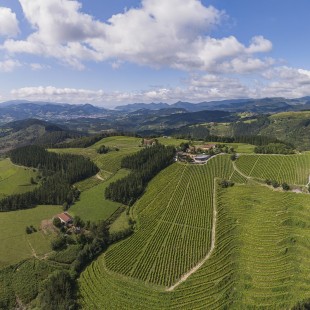 Bodega Berroja: Un...