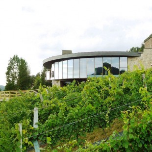 Bodega Berroja: Txakoli,...
